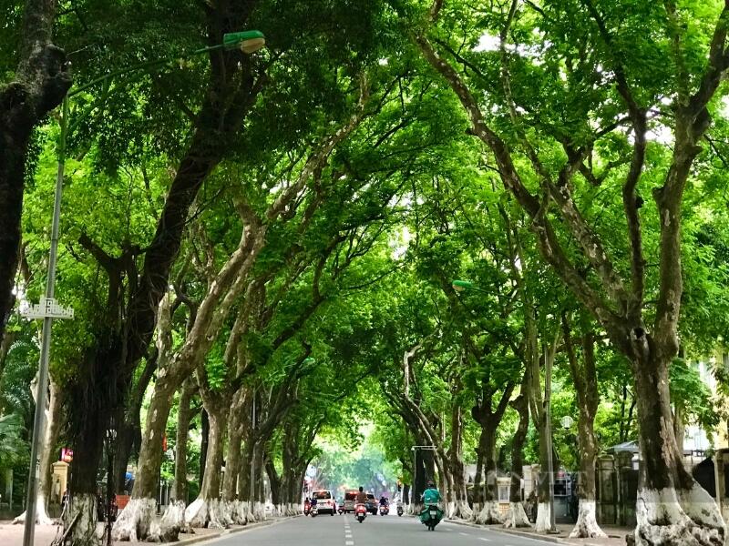 Địa điểm check-in Instagram Phan Đình Phùng là một trong những con đường đẹp nhất của Hà Nội 