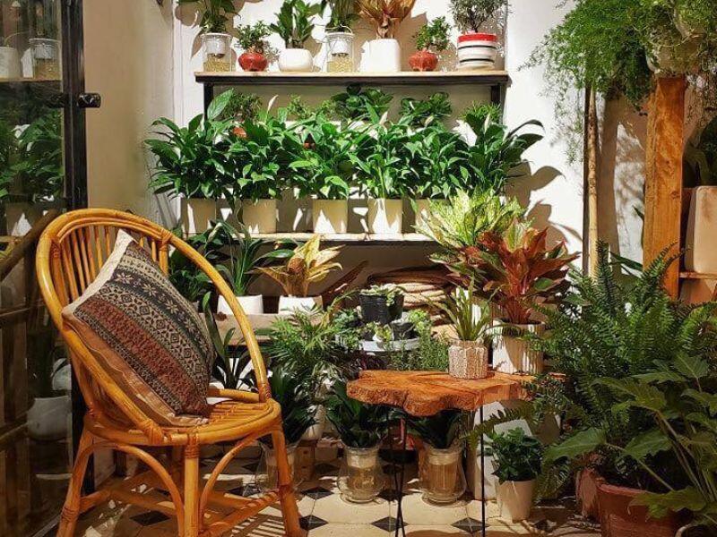 Quán cafe đẹp Vườn xinh coffee 