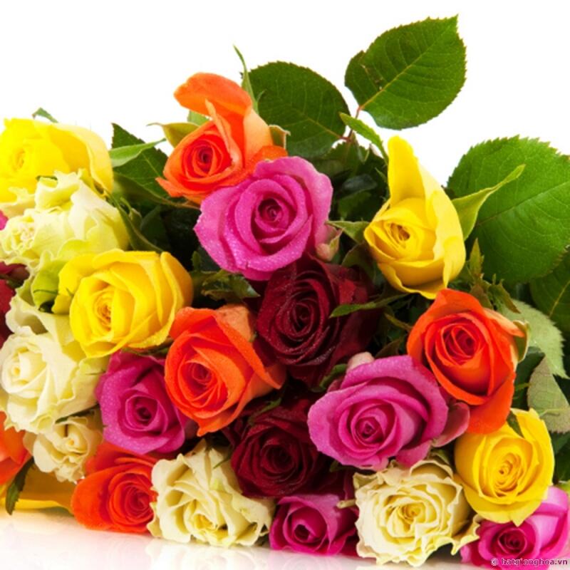 Quy luật tặng hoa hồng trong ngày Valentine