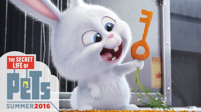 Secret Life of Pets