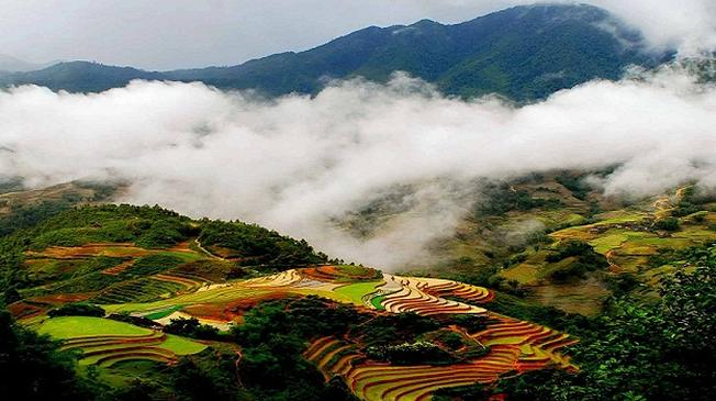 Thung lũng Mường Hoa