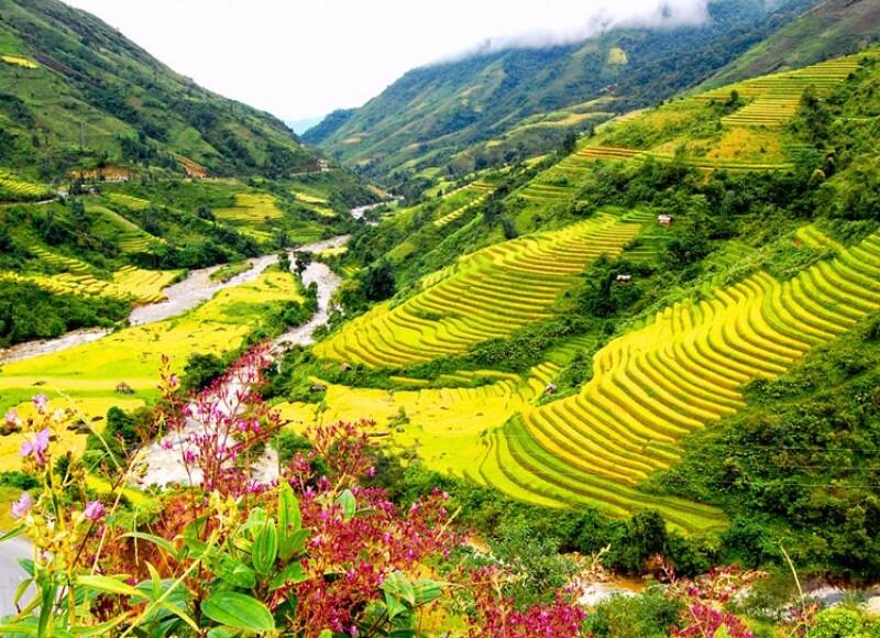 Ngắm những thửa ruộng bậc thang kì vĩ nhất thế giới