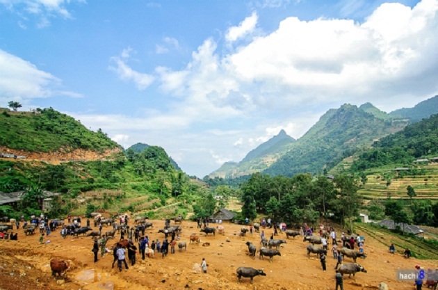 Hòa mình vào các phiên chợ vùng cao