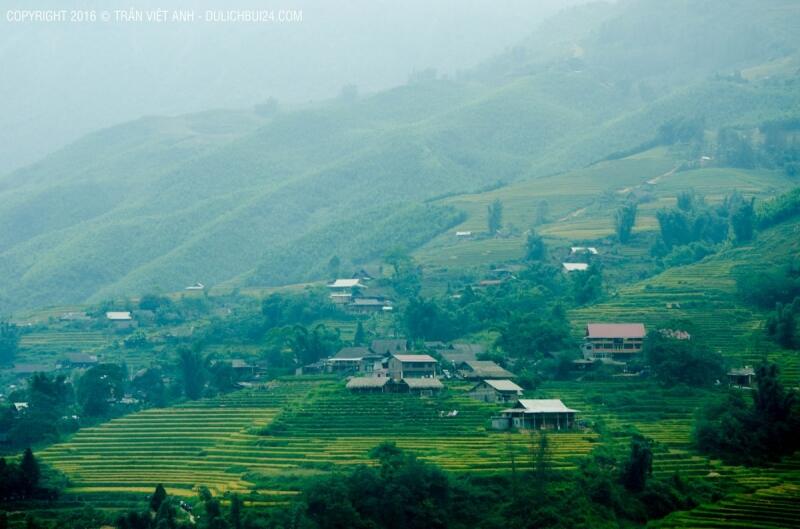 Ngủ homestay tại Tả Van