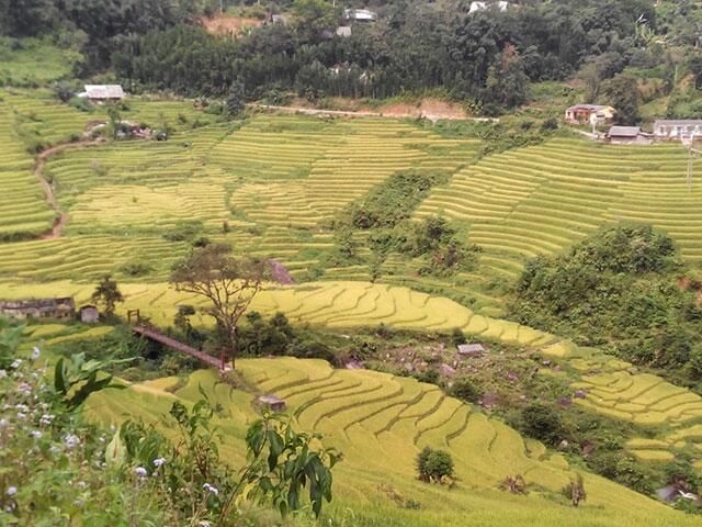 Khám phá một Sapa không khách du lịch