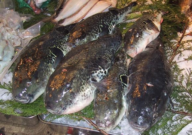 Fugu - món ăn nguy hiểm nhất