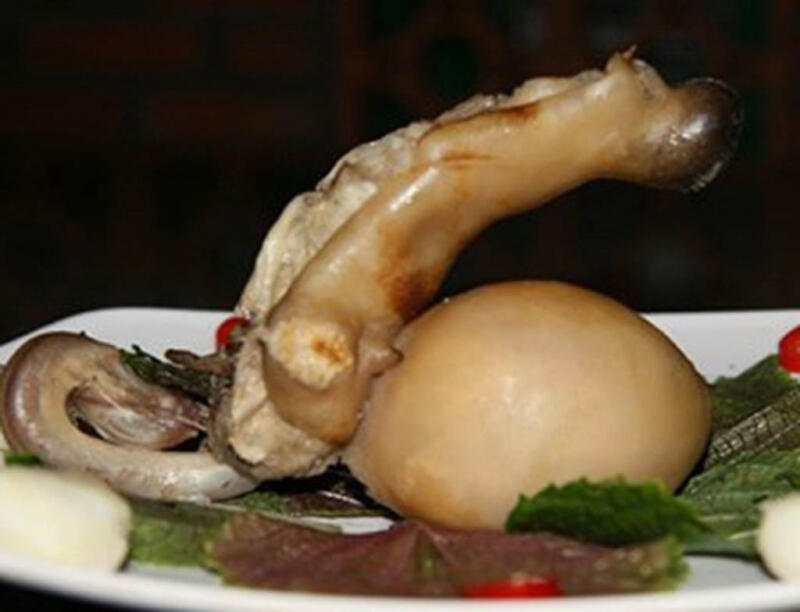 Món dương vật động vật