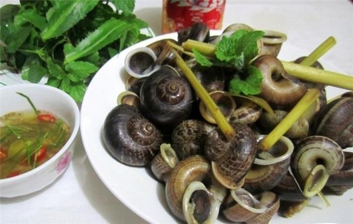 Ốc đá Suối Bàng