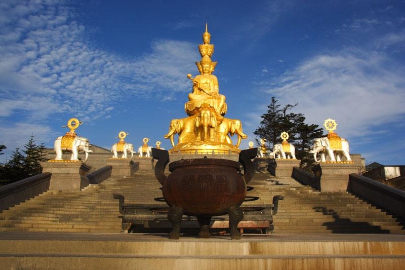 Công ty TNHH Dịch vụ và du lịch Hoa Thiền Zen Flower Travel
