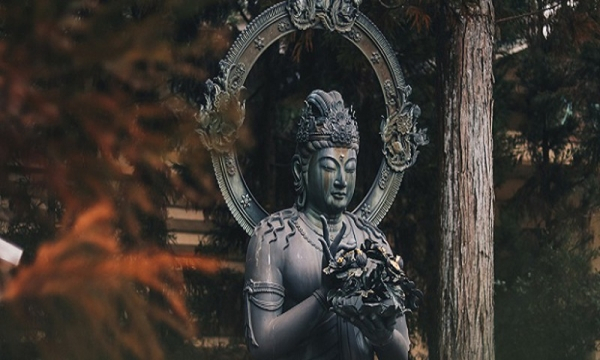 Công ty TNHH Dịch vụ và du lịch Hoa Thiền Zen Flower Travel