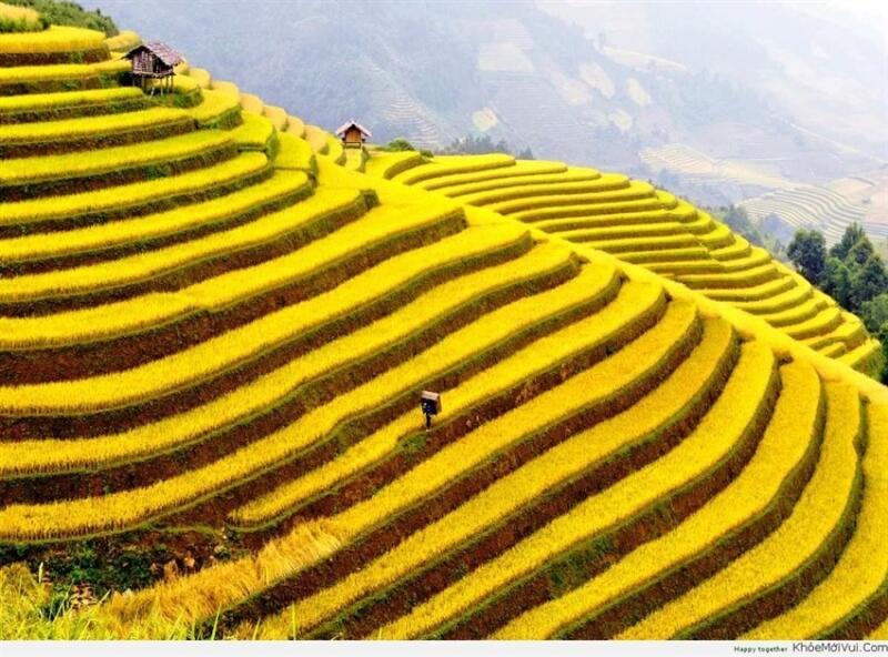 Sa Pa - Ruộng bậc thang kỳ vỹ của Châu Á