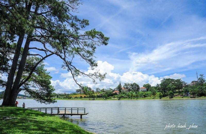 Đà Lạt - Vẻ đẹp xứ ngàn thông