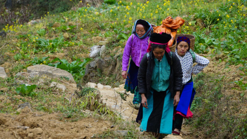 Đồng Văn