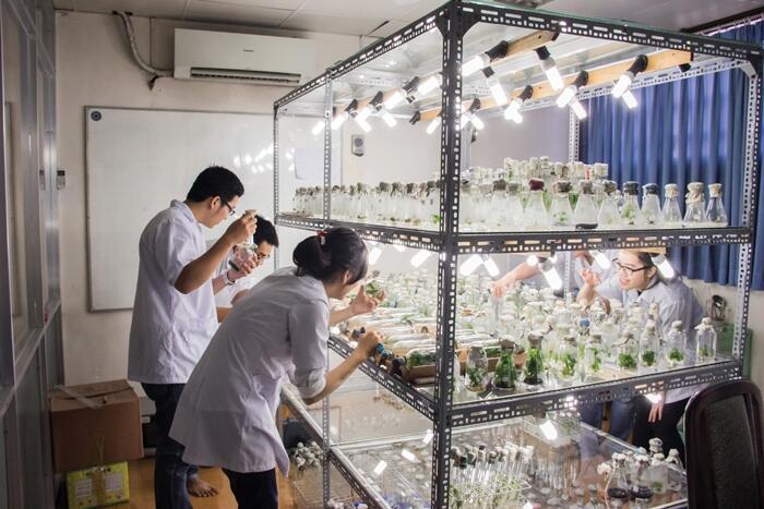 Đại học Khoa học Tự nhiên - Đại học Quốc gia Hà Nội