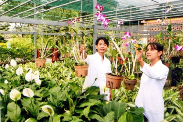 Đại học Cần Thơ