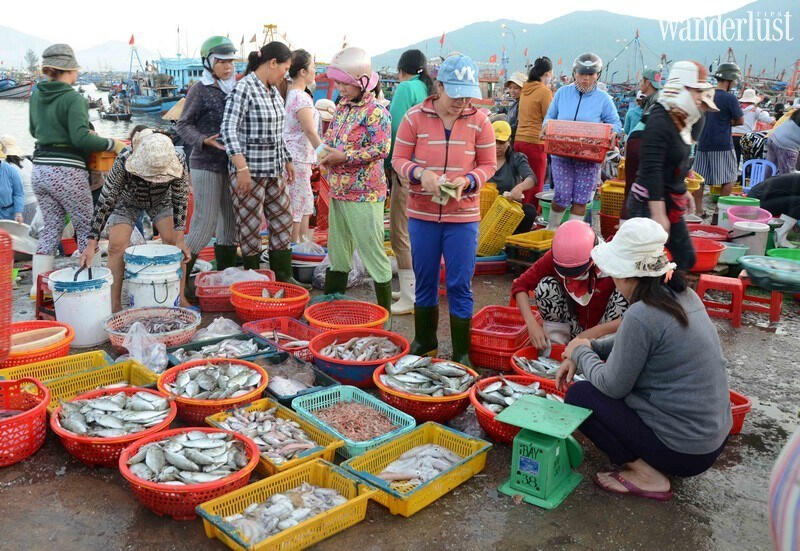 Chợ cá cảng Hạ Long