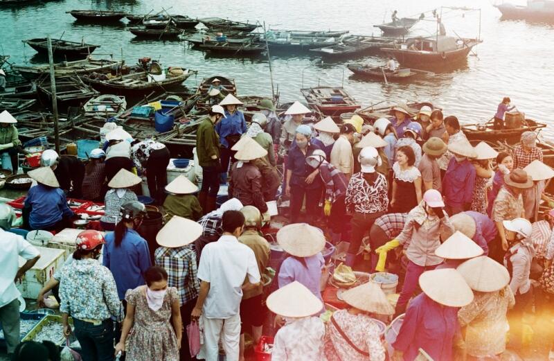 Chợ Hải Sản Hòn Gai