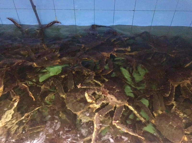 Vựa hải sản Quảng Ninh