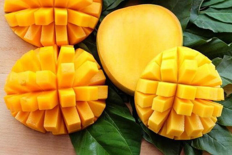 Nha đam với xoài