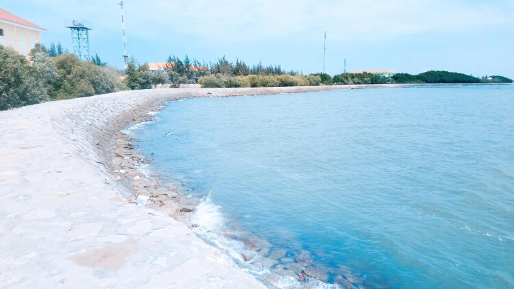Đảo Cù Lao Câu
