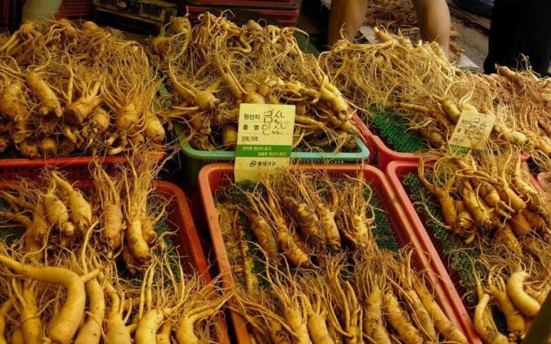 Phố Busa-Dong, Daejeon, Hàn Quốc
