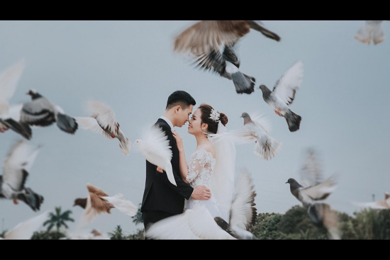 Newline Wedding
