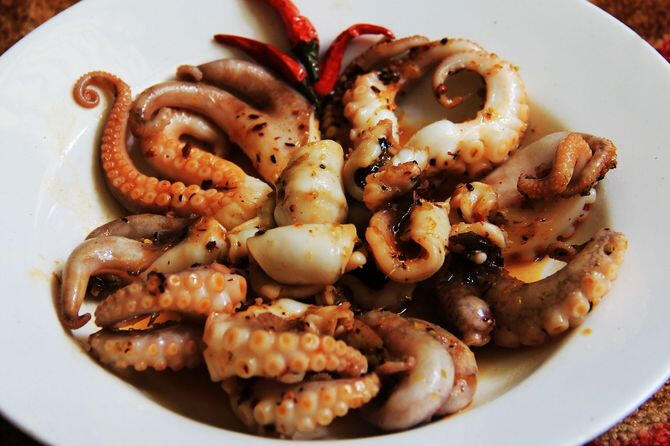 Ruốc lỗ