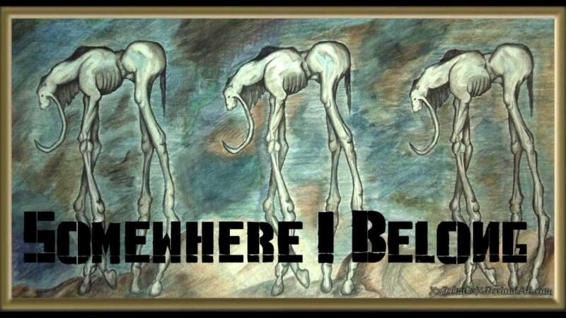 Somewhere I Belong