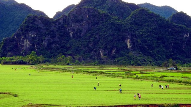 Đèo Đá Đẽo (Quảng Bình)