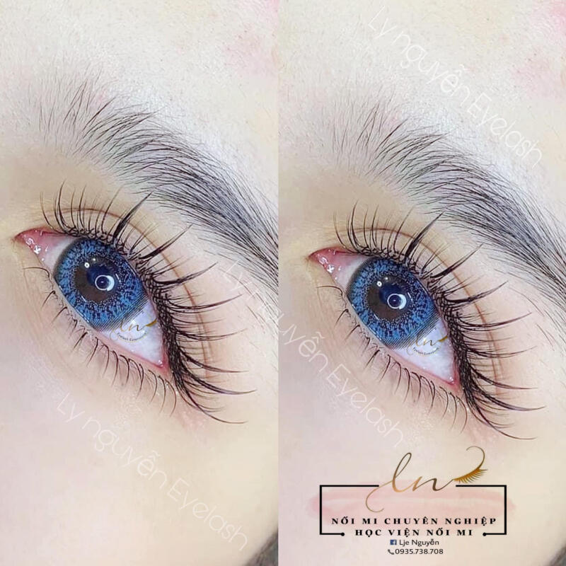 Ly Nguyễn Eyelash