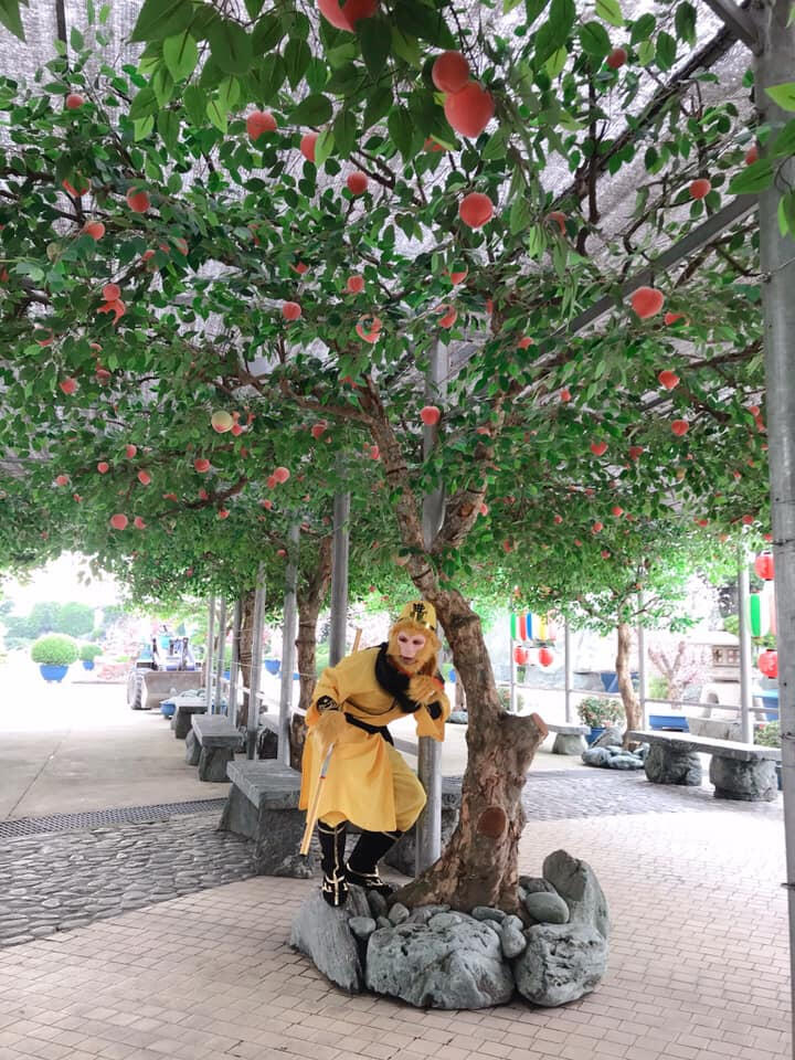 Công Viên Đá Nhật Bản - Rin Rin Park