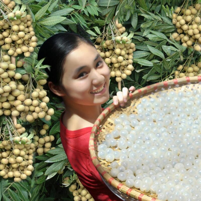 Nhãn lồng