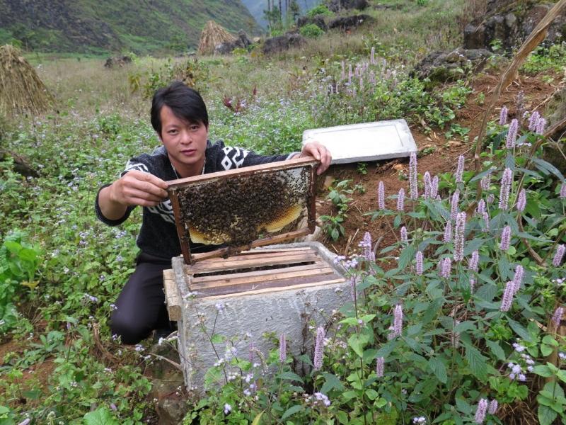 Mật ong bạc hà