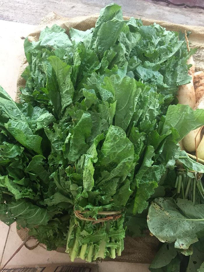 Rau cải cay