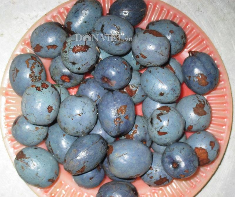 Cọ ỏm