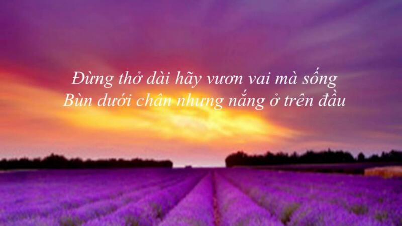 Sống như những đóa hoa - Nhiều ca sĩ