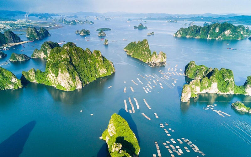 Vịnh Hạ Long