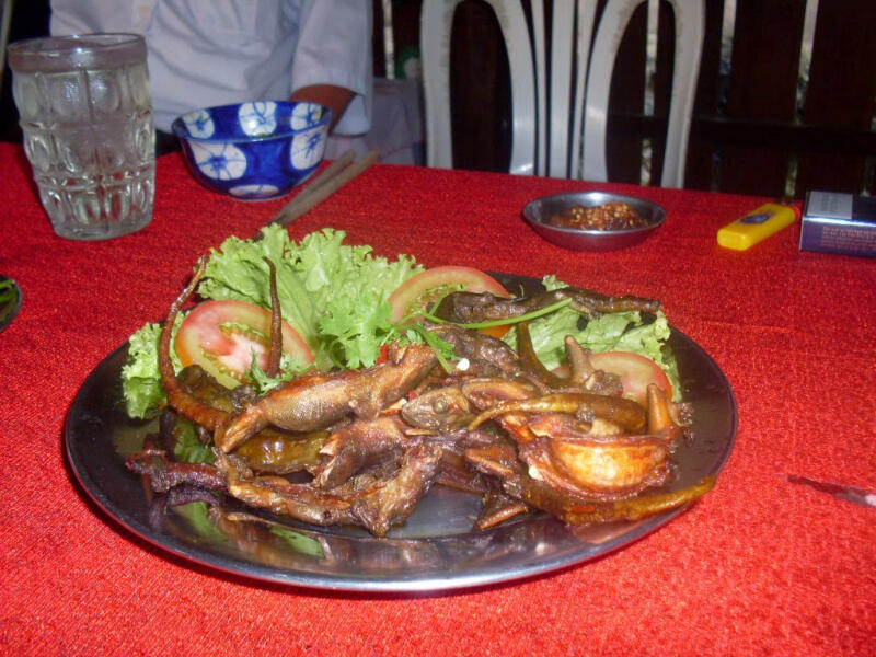 Thằn lằn núi Bà Đen