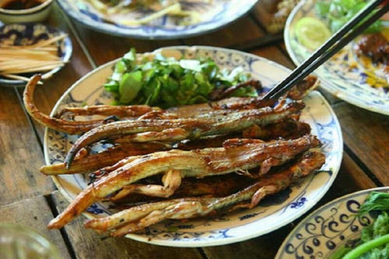 Thằn lằn núi Bà Đen