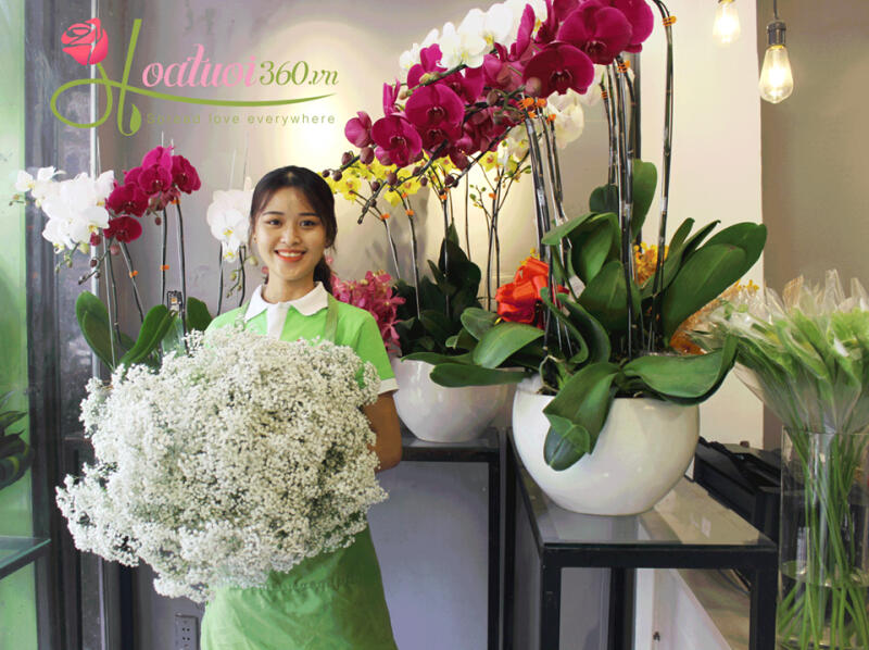 Shop hoa 360