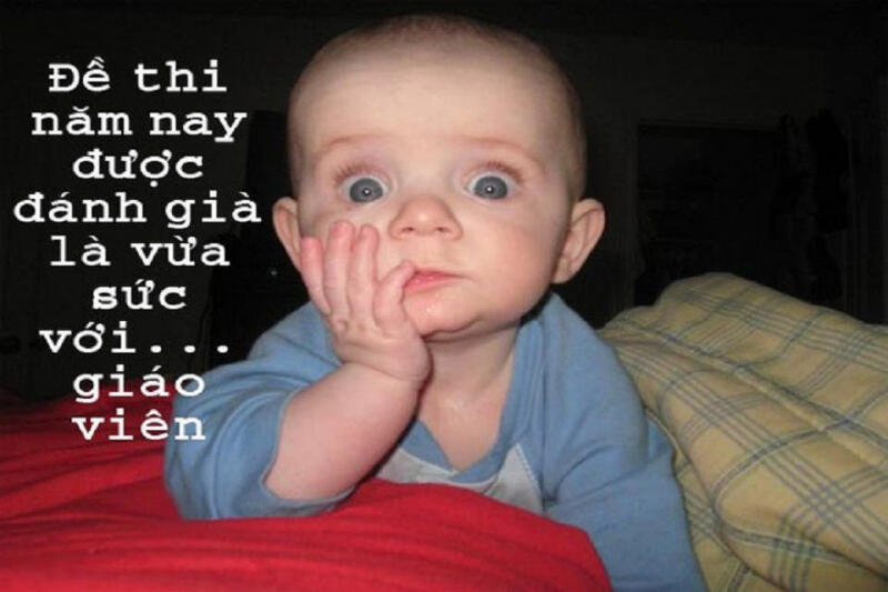 Giải trí +