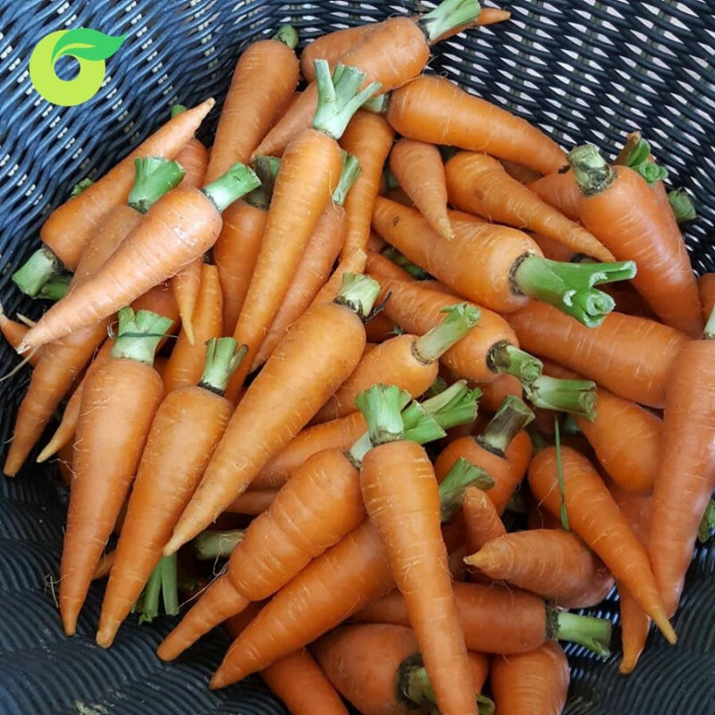 Cửa hàng thực phẩm hữu cơ Organica tại Đà Nẵng