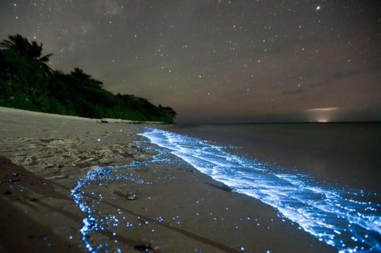 Maldives