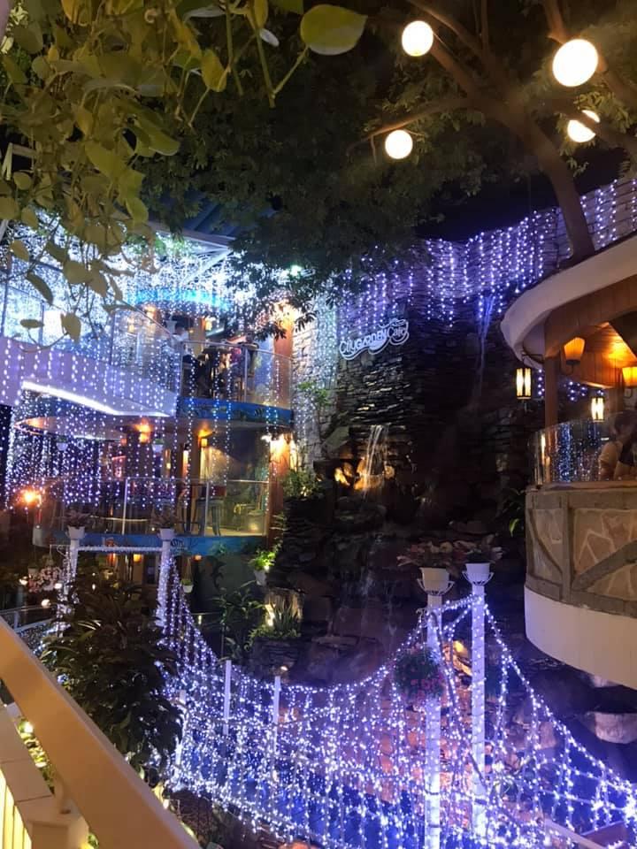 City Garden Cafe