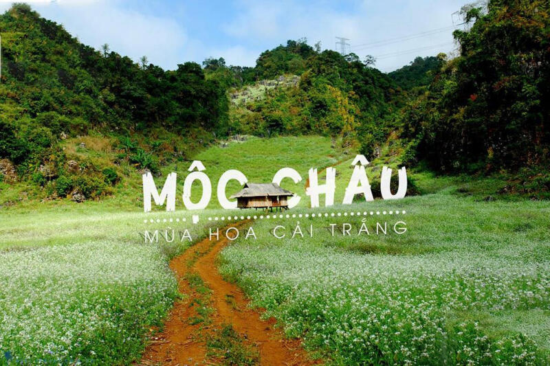 Mộc Châu – Cao nguyên của sắc hoa rực rỡ