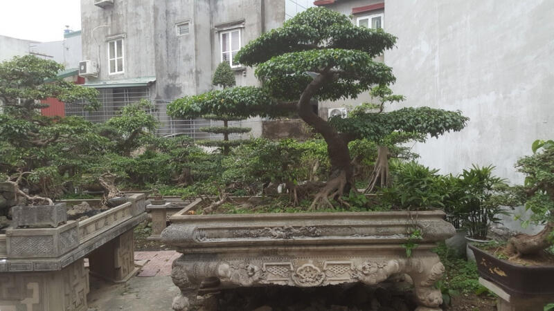 Ngọc Nam Landscape