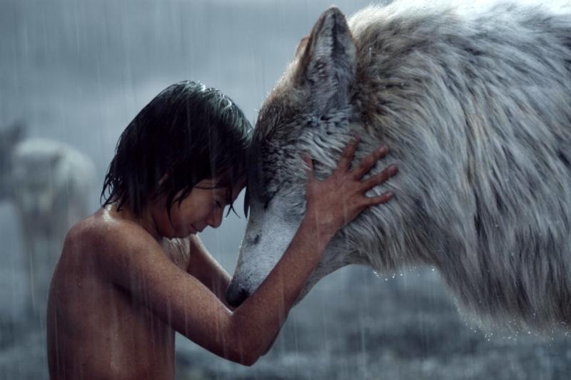 The Jungle Book