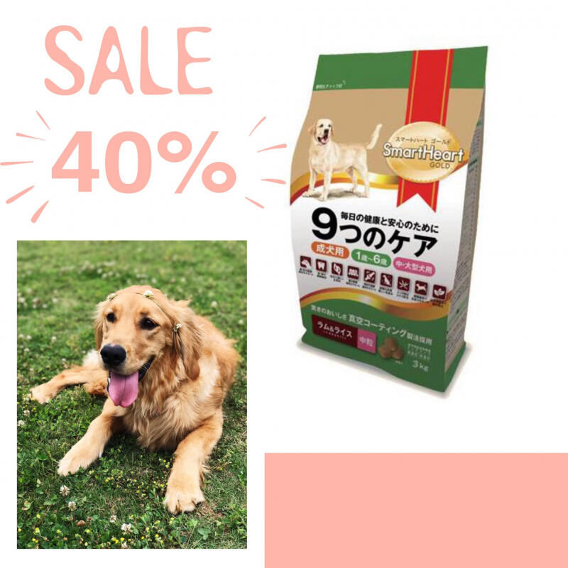 Pet Shop Phượng Điệp