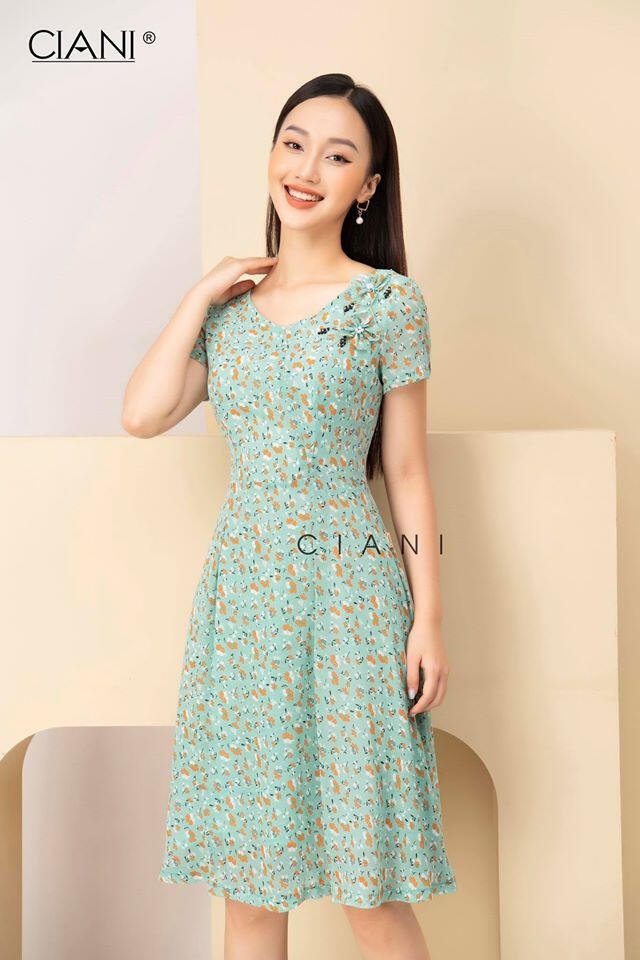 CIANI BẮC GIANG