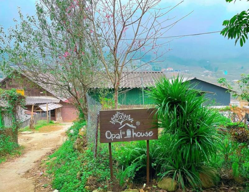 Opal House Mường Hoa